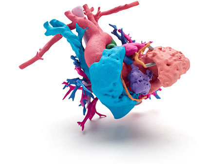 3D Colour Print Heart Europac 3D